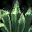 <div class='item-tooltip text-left item-sort-5'><h6 class='item-name'>Dragon WIS lapis</h6><div class='stats'>Can be linked to:<br/></div><div class='desc'><span class='desc-color-1'>Min equipment level:</span> 31<br /><span class='desc-color-1'>Linking rate:</span> 3%<br /><span class='desc-color-4'>Destroys the item in case of failure</span><br /><span class='desc-color-0'>Can't be combined with lapises of group �12</span></div></div>